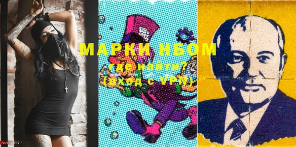 шишки Абаза