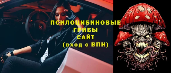 ешки Щигры