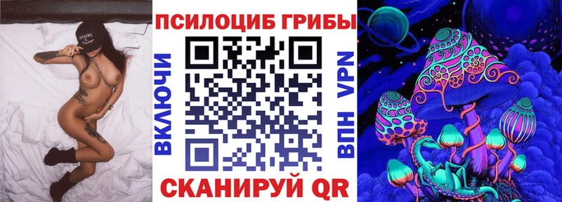 закладки  omg онион  Псилоцибиновые грибы прущие грибы  Алдан 